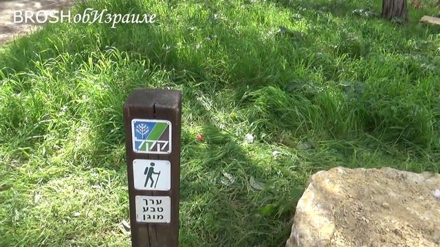 695.Весна в Израиле 2021 Аэродром Мегидо смотреть онлайн