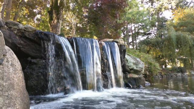 Красивая "PIANO MUSIC" под звуки живой природы (4К UHD) смотреть онлайн