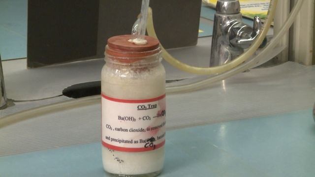Soil Basics: Soil Microbiology смотреть онлайн