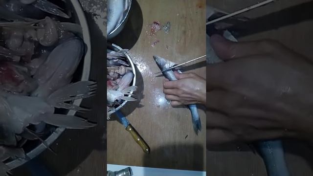 Разделка судака к запеканию в духовке смотреть онлайн