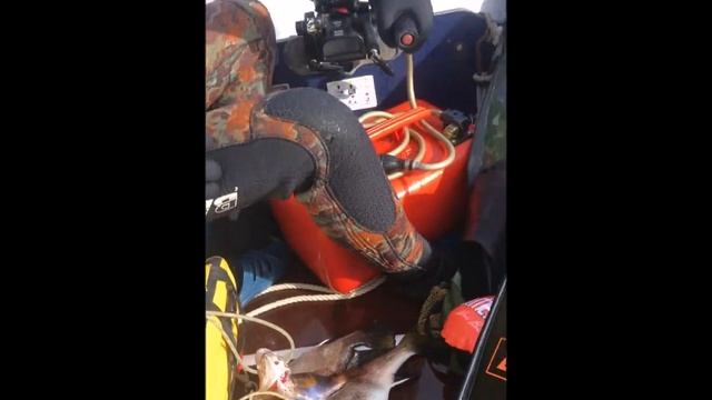 Подводная охота.Коктебель.Май 2018г. смотреть онлайн