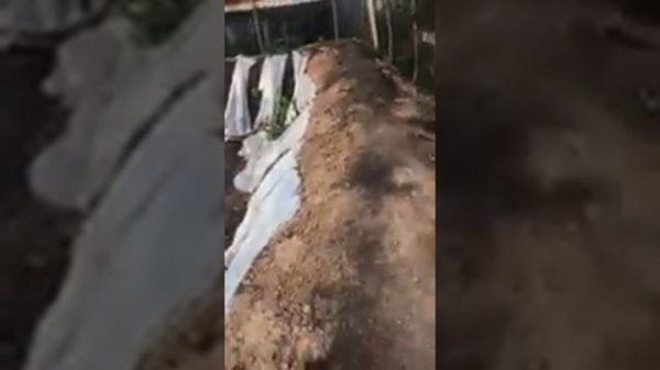 Копаем пруд в огороде