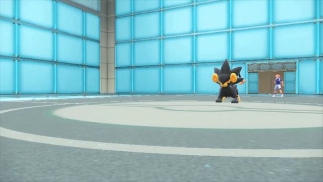 Terra Fighting Pokémon Team смотреть онлайн