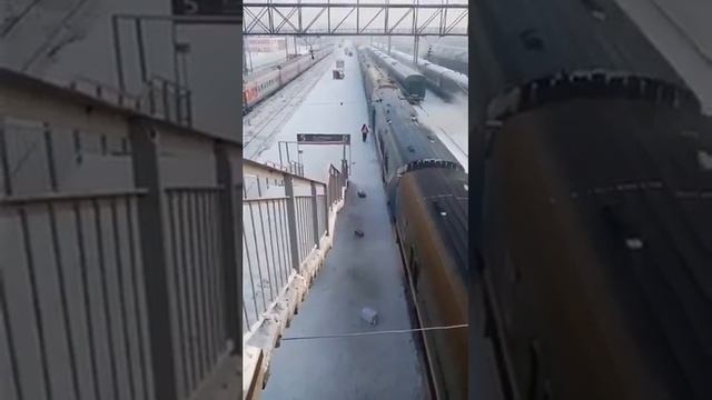"Почта России" разгружает посылки в Тюмени смотреть онлайн