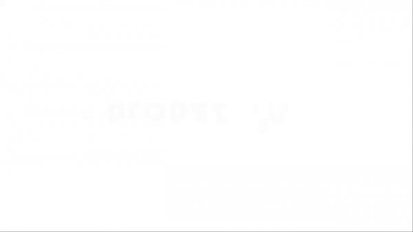 Машина для укладки тротуарной плитки Probst VM 203