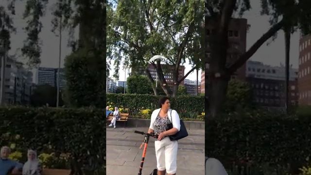 как легко посадить чайку на голову смотреть онлайн