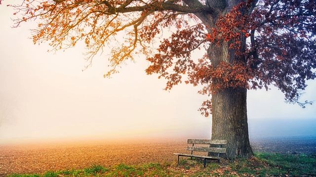 Очень грустная мелодия от которой слезы сами текут...... смотреть онлайн