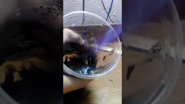 Чёрный слайм смотреть онлайн