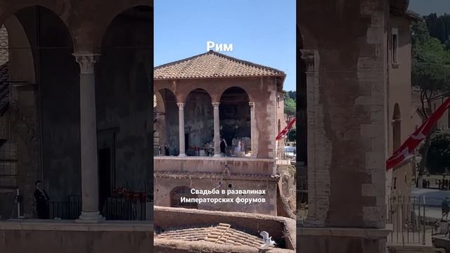 Рим. Современная свадьба в развалинах Императорских форумов#италия#рим#ватикан#гидвриме смотреть онлайн
