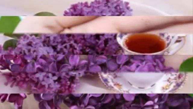 Индивидуальный Стилист