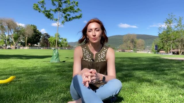 Чому канадські блогери змінили риторику і стали відмовляти від переїзду смотреть онлайн