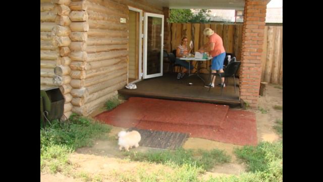 Памяти Красного Демона Фелички! смотреть онлайн