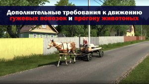 25. Дополнительные требования к движению гужевых повозок, а также прогону животных