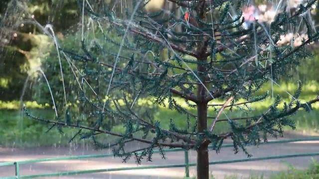 Фонтаны Нижнего парка Петергофа смотреть онлайн