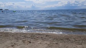 Обское море, пляж «Звезда»