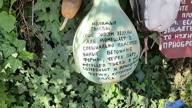 Турция.Кемер.Бельдиби.Каньон Гёйнюк.Своим ходом.Невероятно красивое место! смотреть онлайн