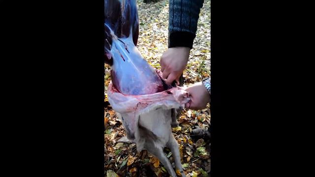 Видео от нашего клиента (18+) смотреть онлайн