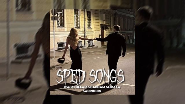 Sadriddin & Shabnam Soraya Wafai Delam Speedup