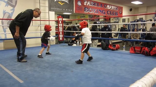 4 year old boxer Noah sparring смотреть онлайн