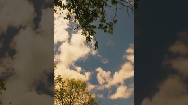 Новините по такса в сграда в гр. София, България : Не било удобно или неудобен Кой Аз на кого ? смотреть онлайн