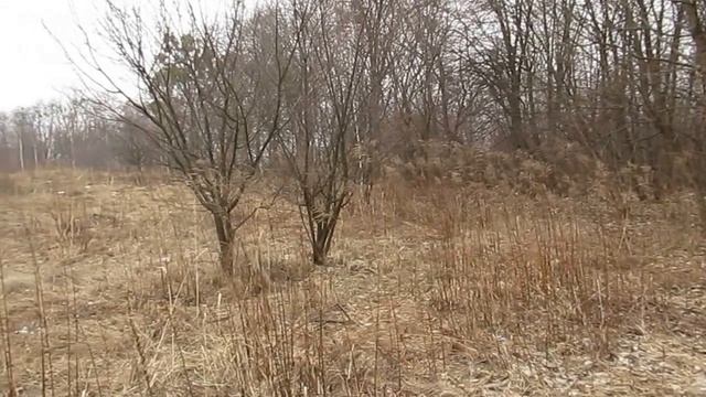 Продам участок 10соток с.Заричаны Житом.обл. смотреть онлайн