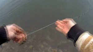 Ловим на вьюна. "Закидушки" на Дону.Голавль.