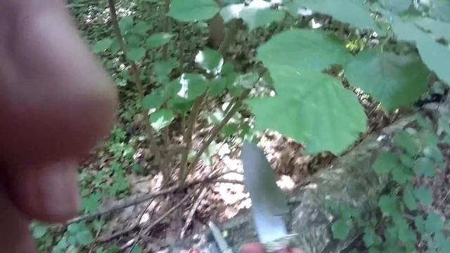 Лесной коп! Нашли наконечник копья, средневековом селище! смотреть онлайн