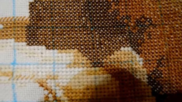 Свадебная метрика. Отчет №1 смотреть онлайн