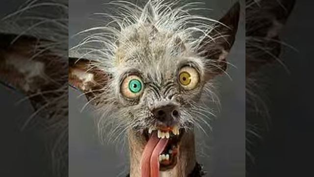 ПЕСНЯ ПОКЕБОЛ смотреть онлайн