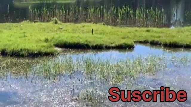 Ayatul kursi full (episode 20) 6 times learn with qeerat tajveed смотреть онлайн