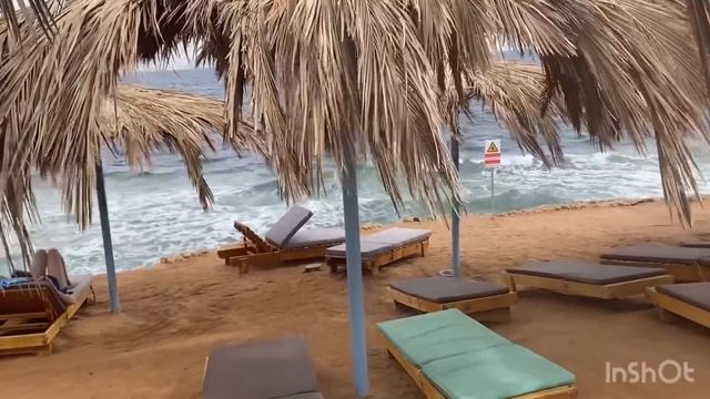 СВЕЖИЙ ОБЗОР ‼️ AMPHORAS AQUA 4* ( Ex Shores Golden )  / Amphoras Blue первая линия / Шарм-эль-Шейх