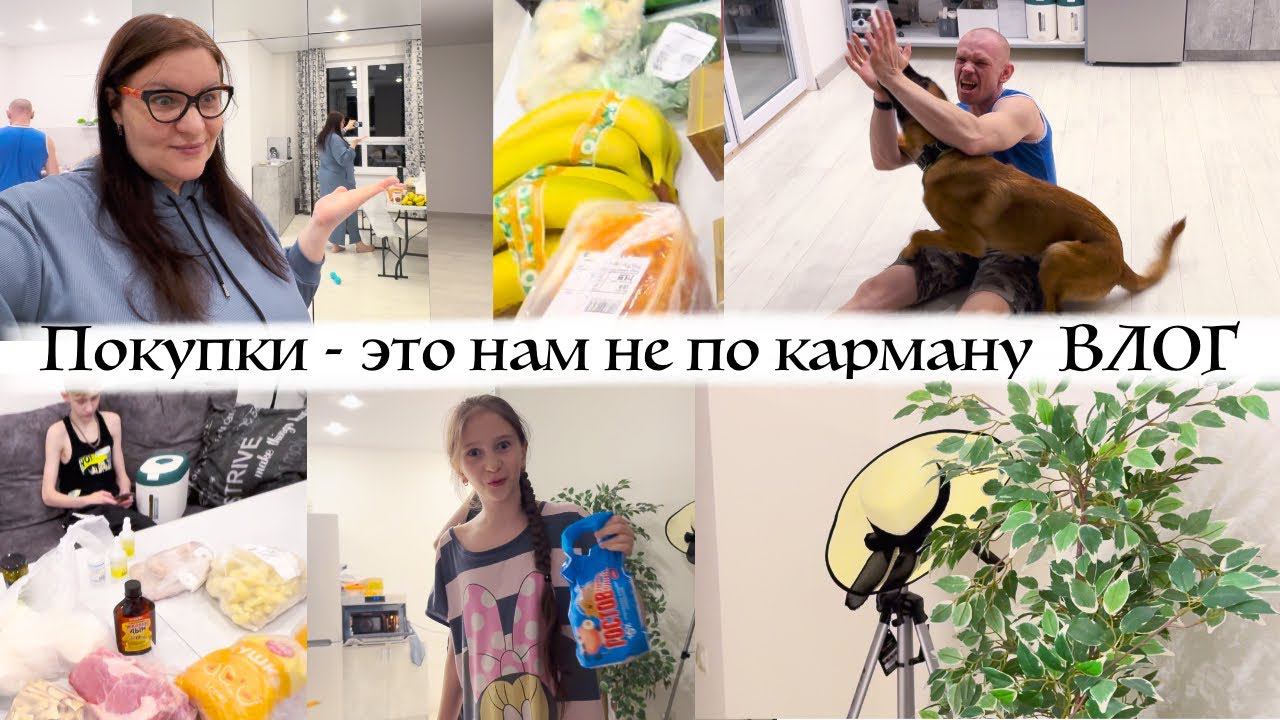Диане понравилась идея Едем в Ленту за покупками Игры с собакой дома Влог смотреть онлайн