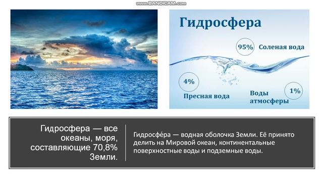 11 класс Биосфера. Охрана биосферы. Состав и функции биосферы смотреть онлайн