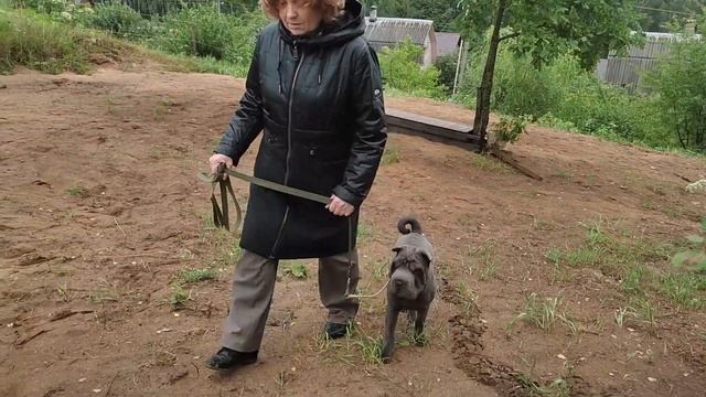 Красотка Терри из Могилёва смотреть онлайн