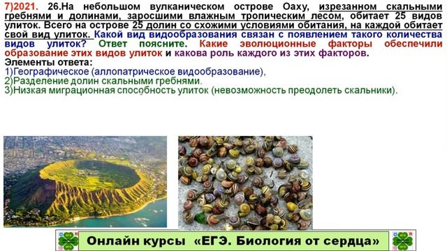 ЗАДАНИЕ ЛИНИИ 26 ИЗ ЕГЭ 2021 ГОДА ПРО ОБРАЗОВАНИЕ 25 ВИДОВ УЛИТОК НА ОСТРОВЕ ОАХУ смотреть онлайн