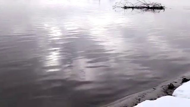 Река Ока. Весна идёт... смотреть онлайн