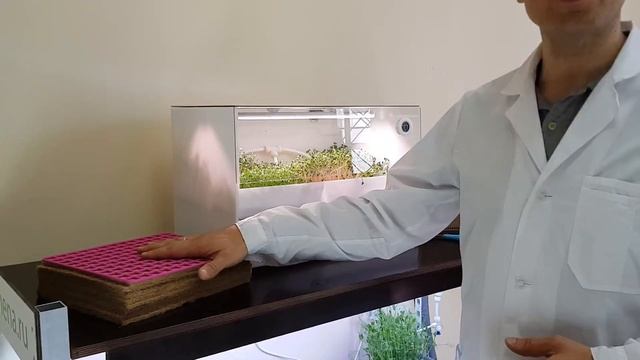 Ферма МИНИ для выращивания микрозелени в ресторанах смотреть онлайн