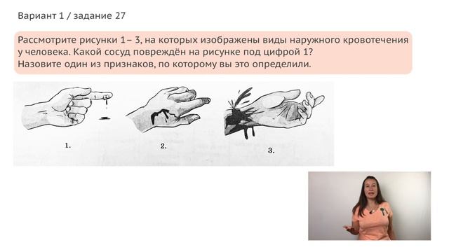 Виды кровотечений / ОГЭ 2020/ 27 задание смотреть онлайн