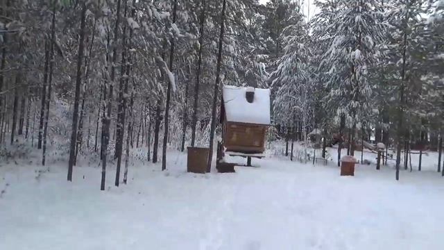 «Тропа сказок» Югорск 4 ноября 2021 год