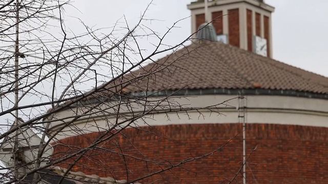 CANON EOS 750D TEST VIDEO [FULL HD - 60 FPS] - SHORT EDIT (