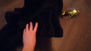 Продвижение! Хвост Беззубика)