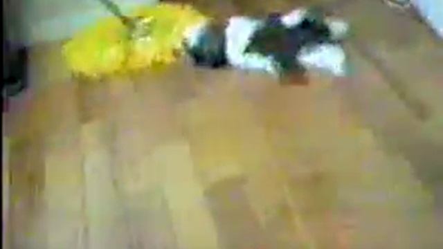 parquet-dog! смотреть онлайн