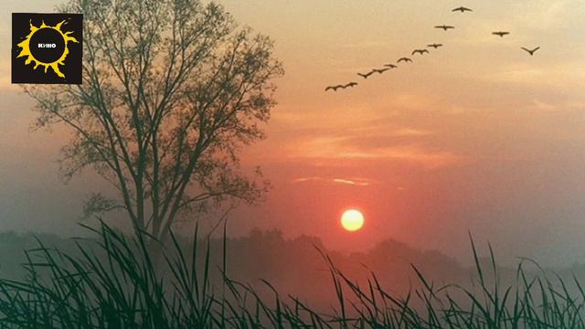 Цой. Я жду ответа. Акустика. смотреть онлайн