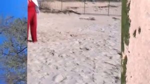 Пляж у ДОЦ Красная гвоздика Бердянск