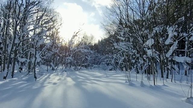 В 22 году обещали себе не ходить в морозы сильные в поход.? Забыли Гора Победы в январские праздник смотреть онлайн