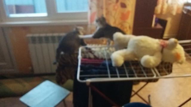 Ринг смотреть онлайн