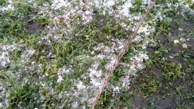 Хутор Маньковский, Ростовская обл.,после урагана с градом 09.06.17 смотреть онлайн