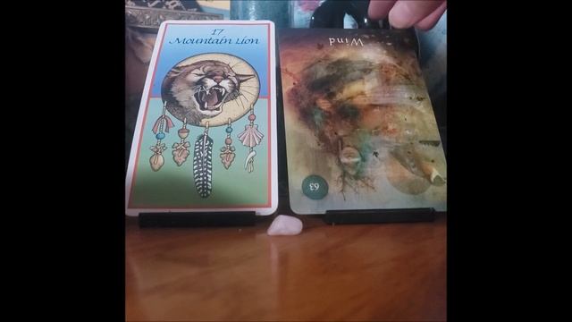 Scorpio Weekly Oracle Reading- Leading By Example смотреть онлайн