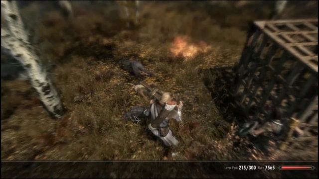 Skyrim, em busca de Falskaar Pt-1 смотреть онлайн