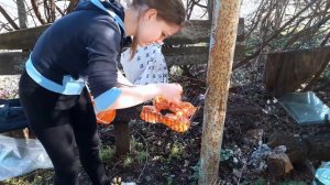 МЫ КУПИЛИ СЕБЕ ДАЧУ ДЛЯ ОТДЫХА